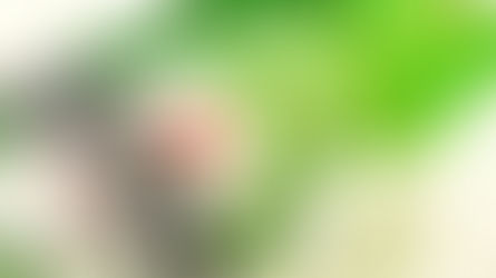 Heineken to phase down brewing at Singapore site as it shifts to regional import model