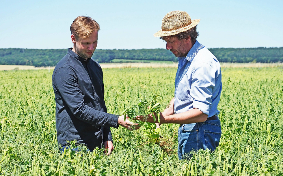 Nordzucker enters plant protein market with €100m investment