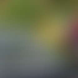 Shaping the future of food systems: thousands commit to dialogues amidst the COVID-19 pandemic