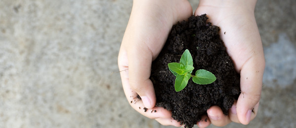 Planta de mantenimiento