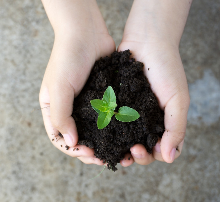 Planta de mantenimiento