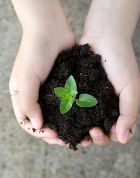 Planta de mantenimiento