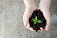 Holding Plant