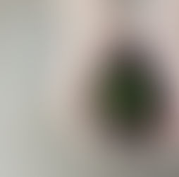 CRIF、ESG評価と企業PRを支援する新サービス「Synesgy Premium」を提供開始