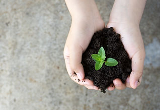 Planta de mantenimiento