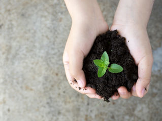 Creating ProActive EcoLand