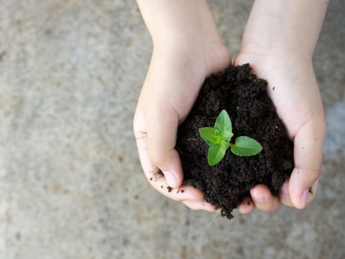 Eco-Tips