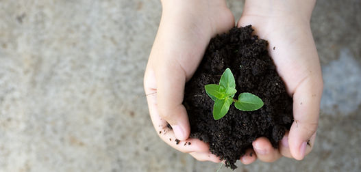Switch to reusable products reduce environmental impact