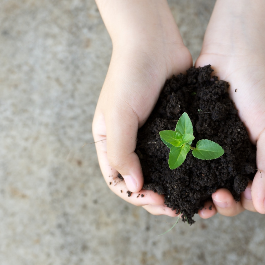 GROWING DEEPER IN GOD Bible Webinar