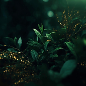 20260112_150452_0000.png