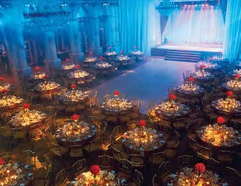 Plaza Hotel - Starry Starry Night2.jpeg