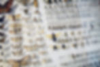 A wall of all varieties of taxidermy insects