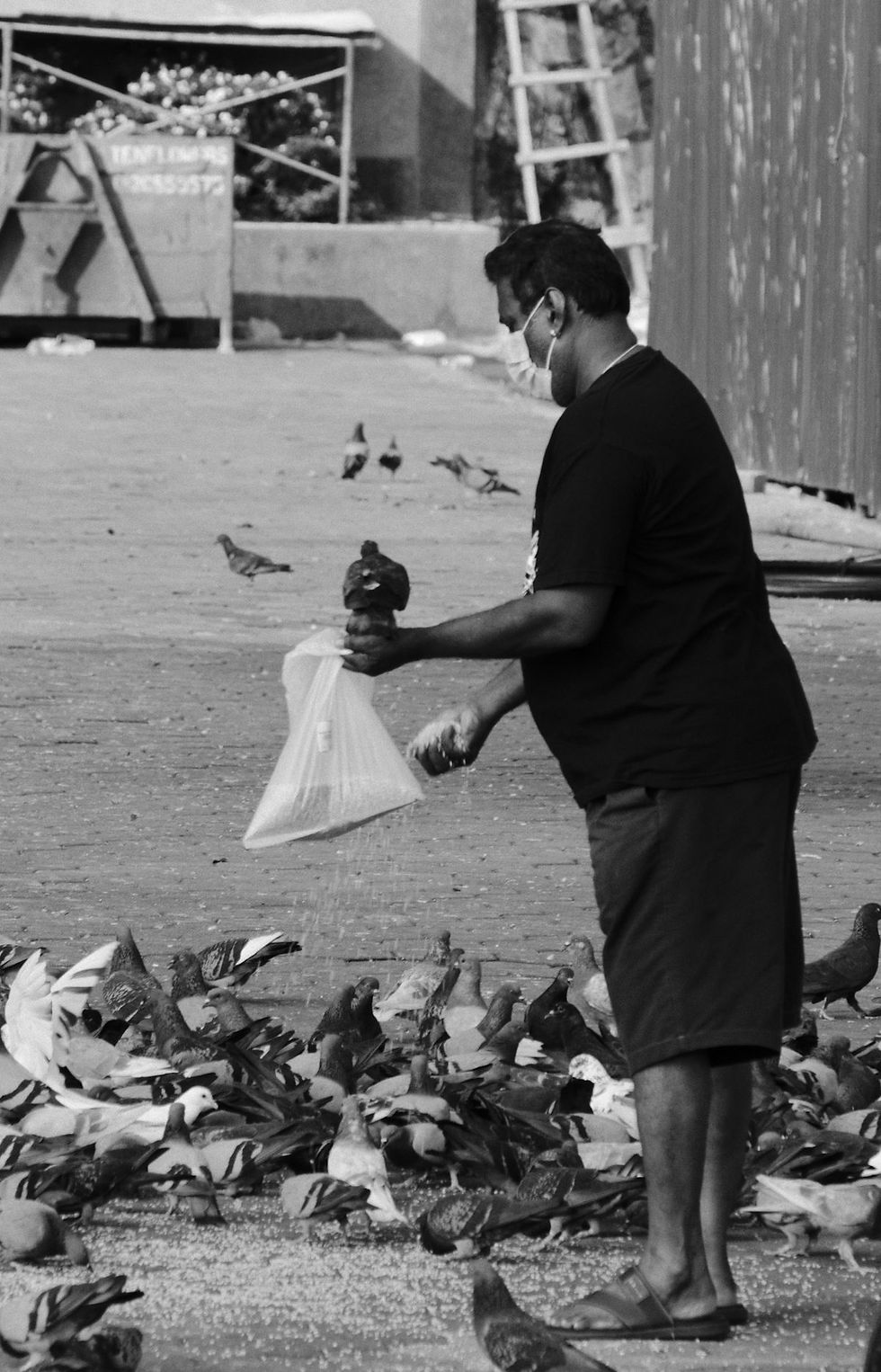 a man standing in front of a pile of pigeons