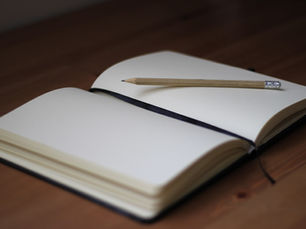 brown pencil on white book page