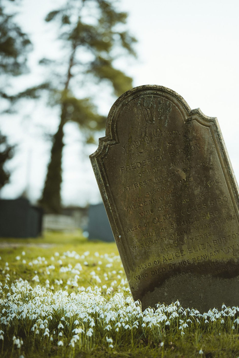 A tombstone in a field with flowers on a sunny day