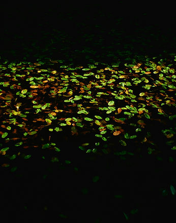 „Sanctum_P1590301_GX80_01-08-2025.jpg“ kopija.jpg