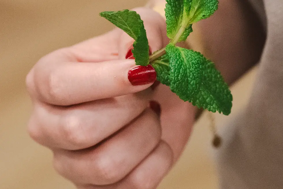 Die Vorteile der natürlichen Nagelpflege: Schöne Nägel mit Stil