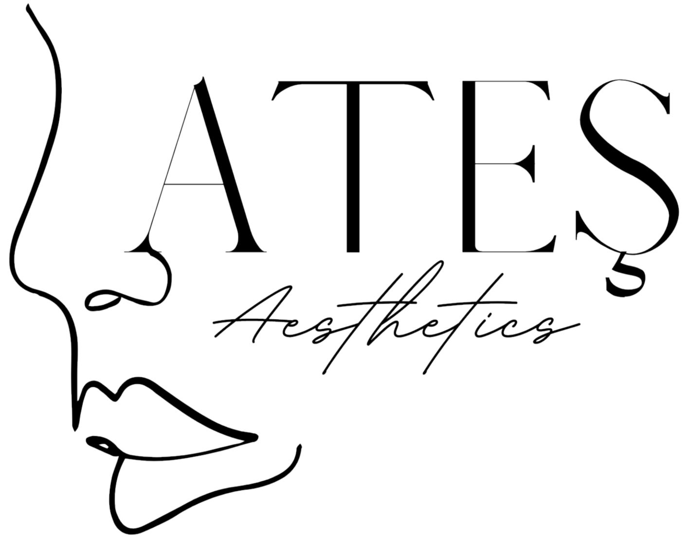 Logo Ates