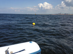 Location anchor