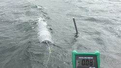 wave dodging mechanism