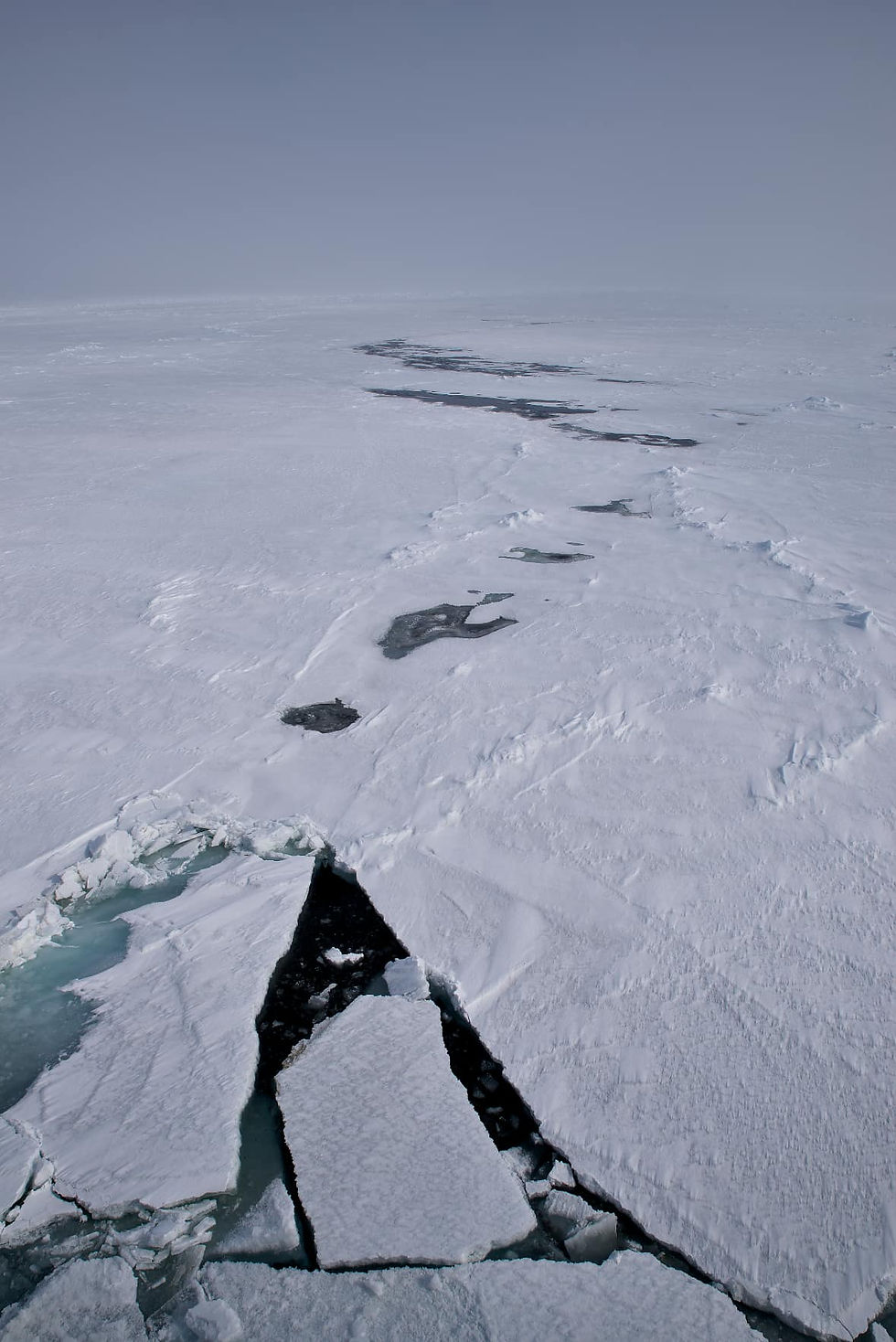 Banchisa Polare Svalbard