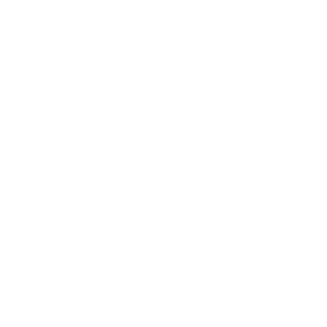 Portable Support.webp