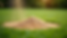 Close-up view of sandy top dressing applied on warm season grass