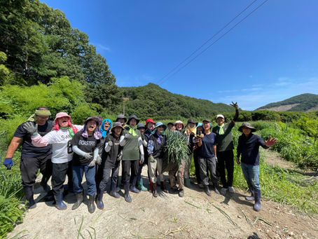 감사가 넘치는 대파 김장