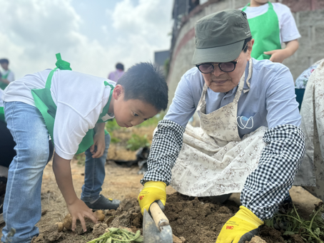 마음짝꿍과 감자수확&화분만들기 (원예활동)_ 11회차