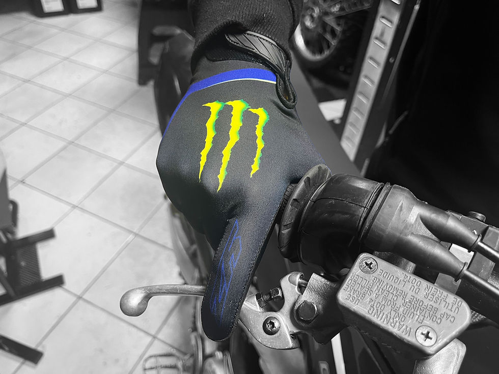 Miniature : Paire de gants Monster