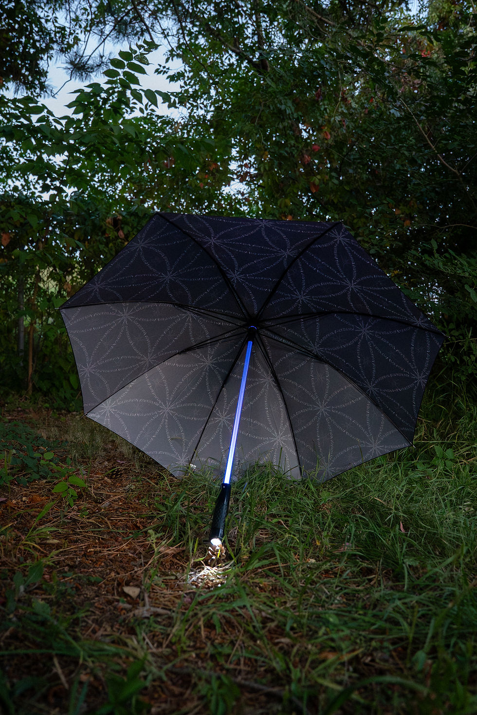 Thumbnail: Umbrella "Visions of Life"