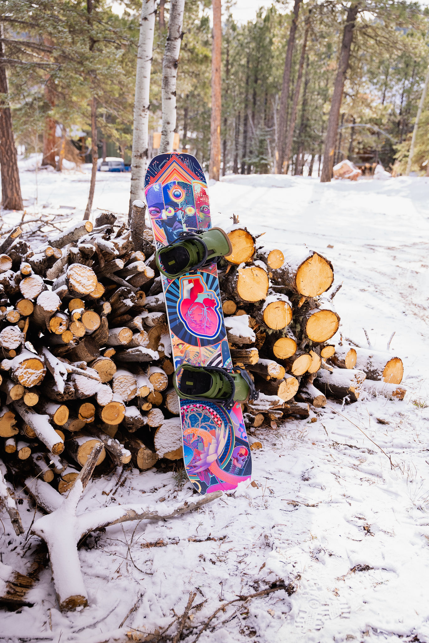 Android Jones  Snowboard