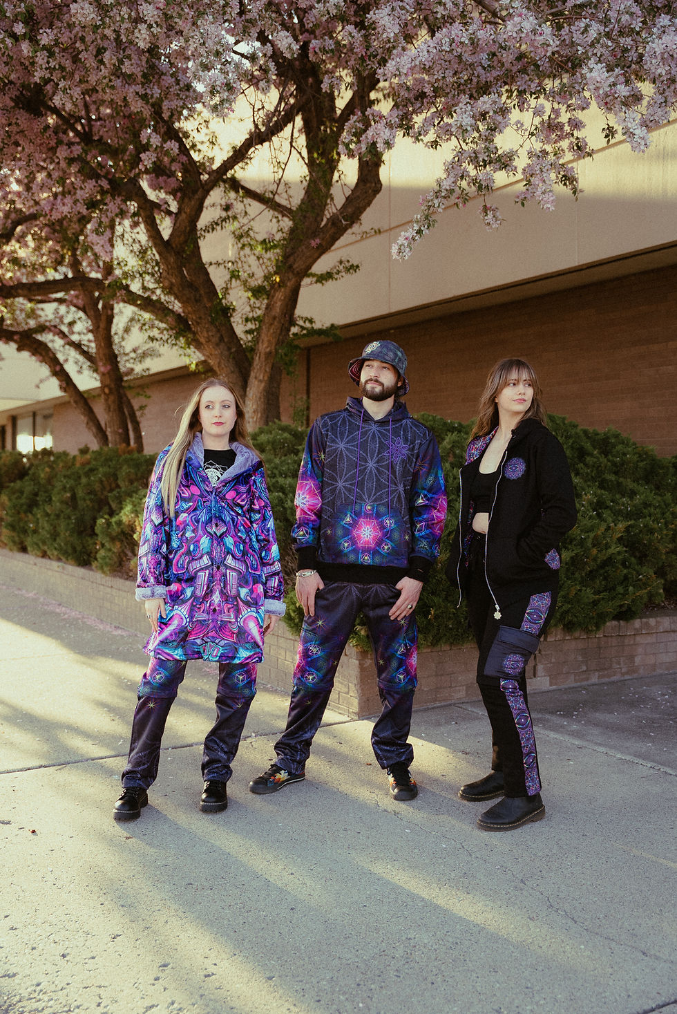 Thumbnail: "Visions of Life" pull over hoodie