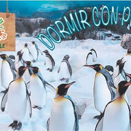 EXCURISON: NOCHE EN FAUNIA