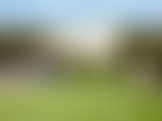 A Family Home That Supports Growth — and Your Future Portfolio Strategy