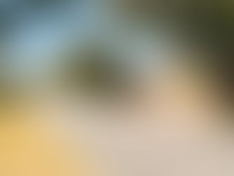 Why Investing in Your Own Backyard Is Not Always the Best Investment Strategy