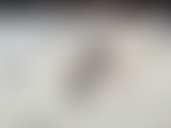 Hendricken Stuns Mount in 6-0 Route 