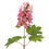 Thumbnail: Gatsby Pink® Oakleaf Hydrangea — 4” Proven Winners® ColorChoice® Shrub