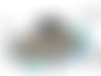 矽光子從硬體到軟體－SDP技術兼具編程性與靈活性，點亮光學通訊領域