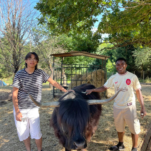 Le temps de deux jours, un groupe de jeunes accompagnés par le SAMNA a vécu un séjour à la ferme du Heydé, placé sous le signe de la nature, de la découverte et de la convivialité.