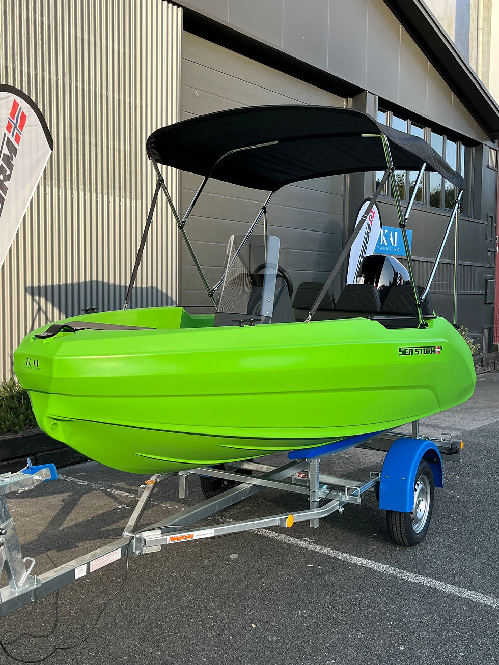 Miniatura: SeaStorm 12 + Mercury 25CV