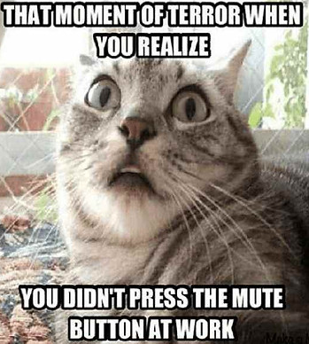 catmute.jpg