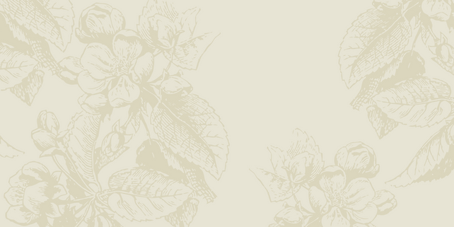 Delphine-Eyebrow-Couture-Floral-Background-Banner.png