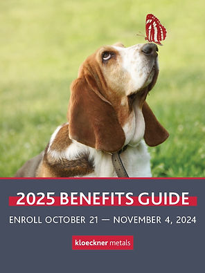 Benefits Guide Sample Cover