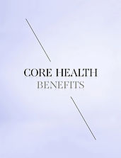 Benefits Guide Section Header Sample