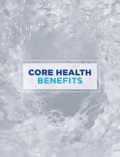 Benefits Guide Section Header Sample