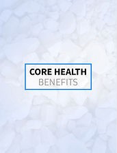 Benefits Guide Section Header Sample