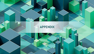 Presentation Template