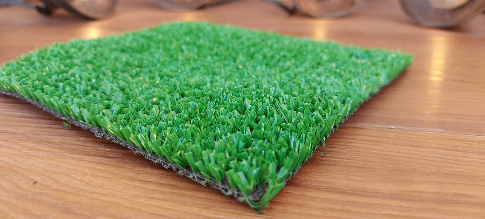 Miniatura: Birdie ll