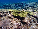 P6190018.JPG